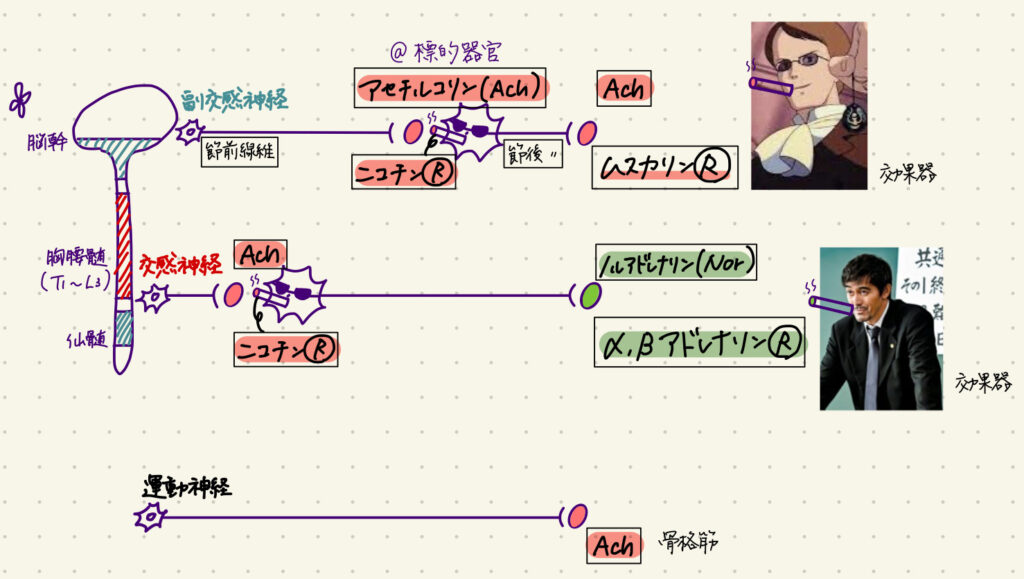 画像に alt 属性が指定されていません。ファイル名: IMG_9601-1024x579.jpg