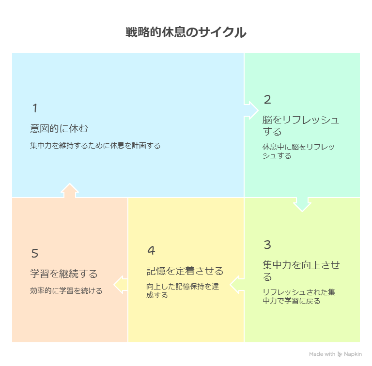 医学生が集中力を維持するための「戦略的休息サイクル」を示す図。意図的に休む → 脳をリフレッシュする → 集中力を高める → 記憶を定着させる → 学習を継続する、という5つの循環で構成されている。