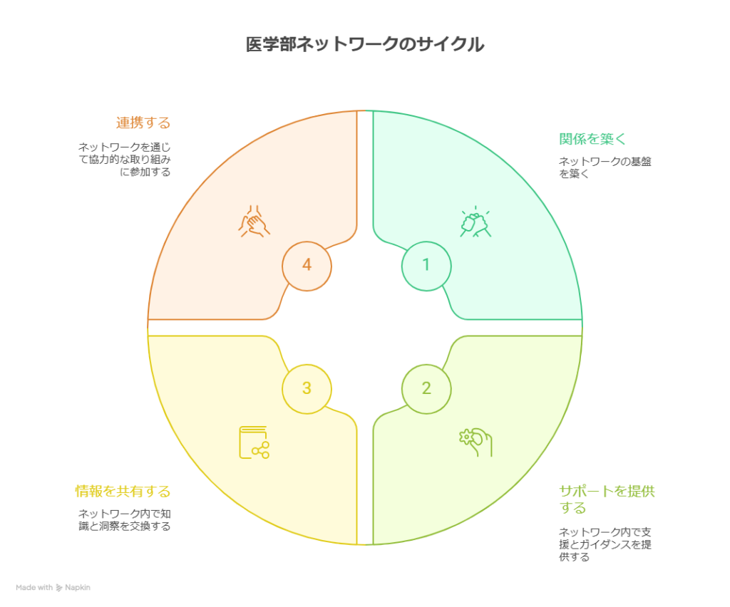 医学部のネットワークのサイクルを示している。1.関係を築く、2.サポートを提供する、3.情報を共有する、4.連携する、の順番で示している。