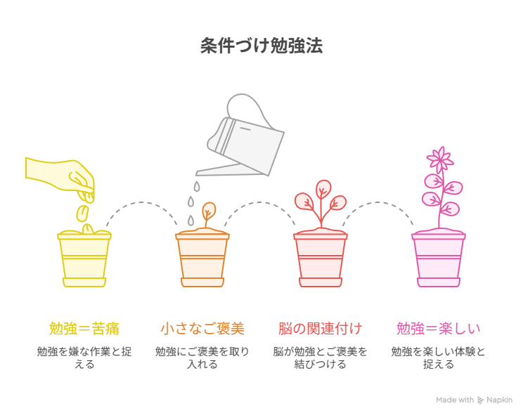 条件づけの勉強法を花の成長とともに示している。
勉強＝苦痛→小さなご褒美→脳の関連付け→勉強＝楽しいの順番。
