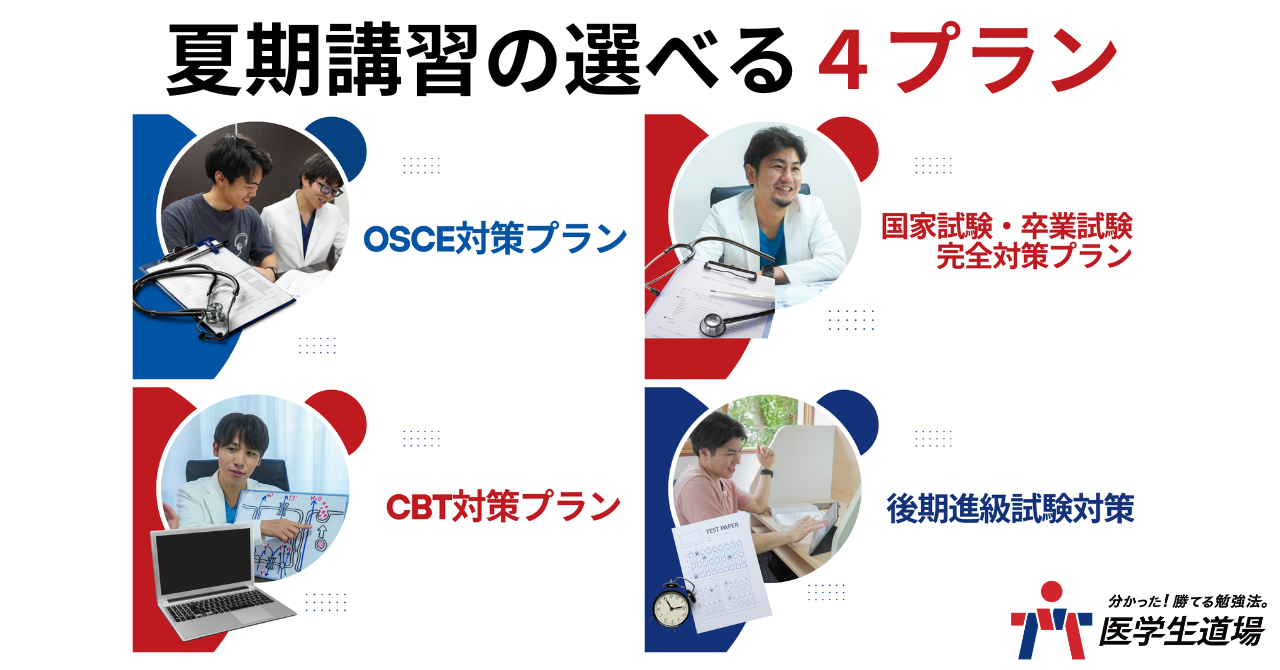 夏期講習4プラン