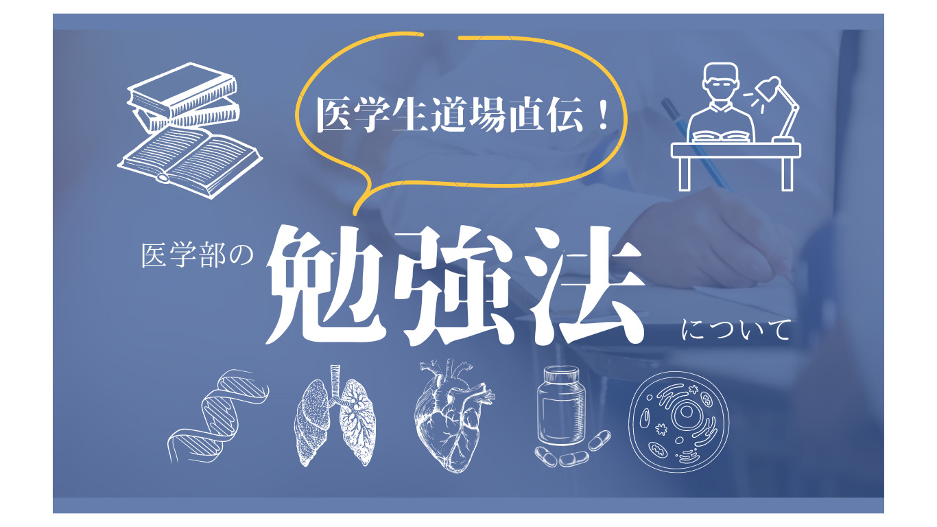 医学生低学年～中学年向け】医学生の勉強法、教えちゃいます！【医学部