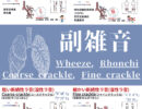 呼吸音、副雑音、Wheeze，Rhonchi，Coarse crackle，Fine crackle