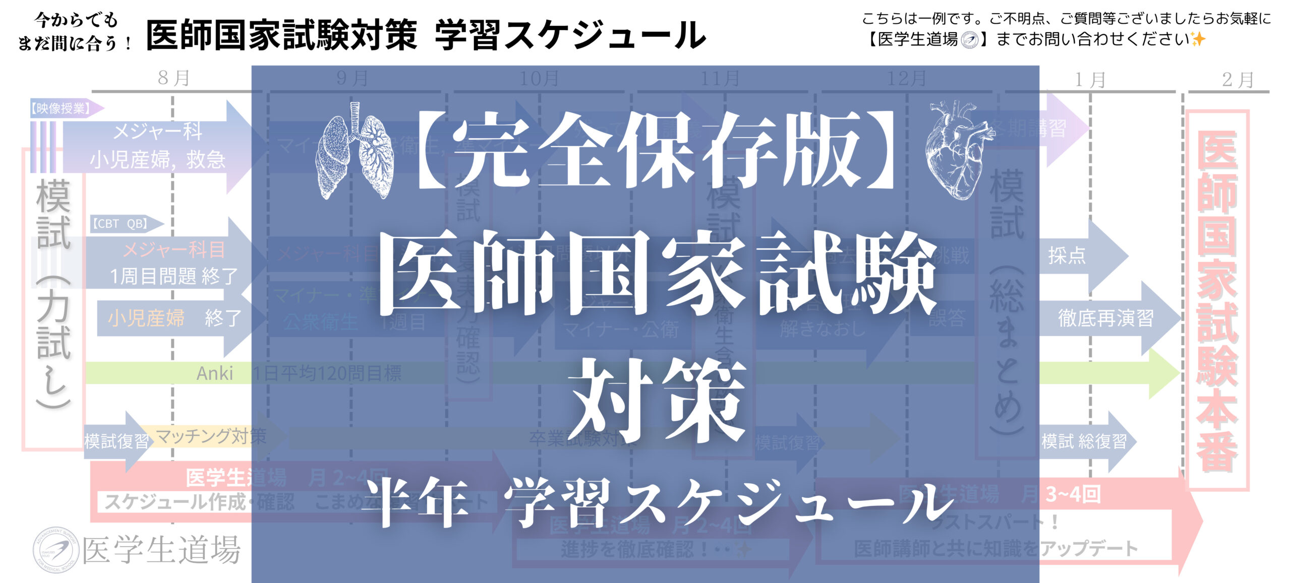 医師国家試験対策学習スケジュール