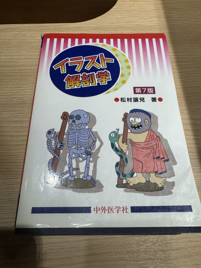イラスト解剖学の写真