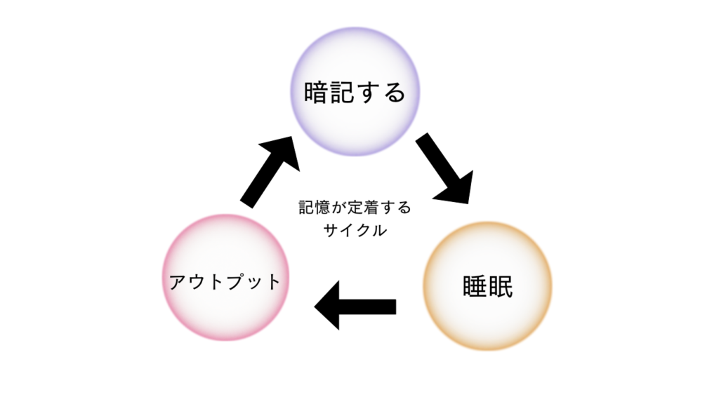 記憶が定着するサイクルを暗記する→睡眠→アウトプットの順番で示している。